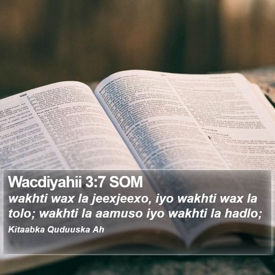Wacdiyahii 3:7 SOM Bible Verse Image