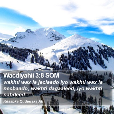 Wacdiyahii 3:8 SOM Bible Verse Image