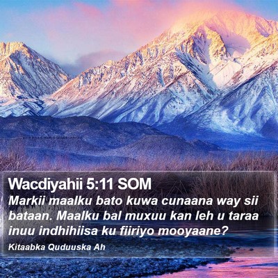 Wacdiyahii 5:11 SOM Bible Verse Image