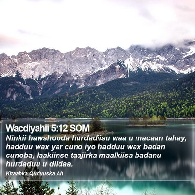 Wacdiyahii 5:12 SOM Bible Verse Image