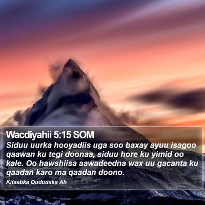 Wacdiyahii 5:15 SOM Bible Verse Image