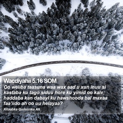 Wacdiyahii 5:16 SOM Bible Verse Image