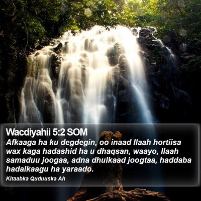 Wacdiyahii 5:2 SOM Bible Verse Image