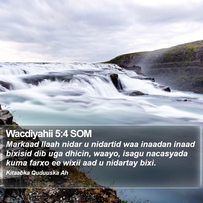 Wacdiyahii 5:4 SOM Bible Verse Image