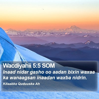 Wacdiyahii 5:5 SOM Bible Verse Image