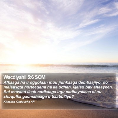 Wacdiyahii 5:6 SOM Bible Verse Image