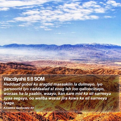 Wacdiyahii 5:8 SOM Bible Verse Image