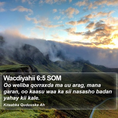 Wacdiyahii 6:5 SOM Bible Verse Image