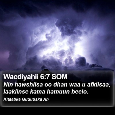 Wacdiyahii 6:7 SOM Bible Verse Image
