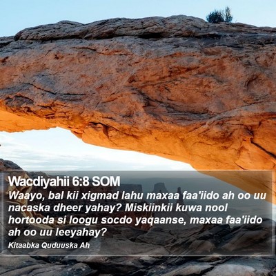 Wacdiyahii 6:8 SOM Bible Verse Image