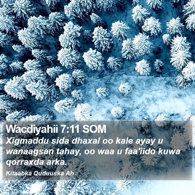 Wacdiyahii 7:11 SOM Bible Verse Image