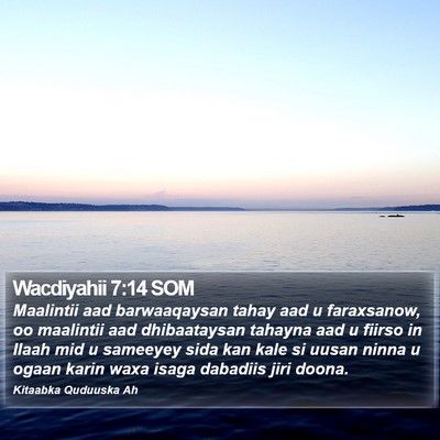 Wacdiyahii 7:14 SOM Bible Verse Image