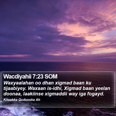 Wacdiyahii 7:23 SOM Bible Verse Image