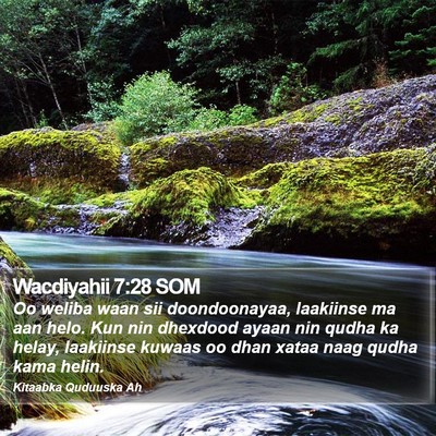 Wacdiyahii 7:28 SOM Bible Verse Image