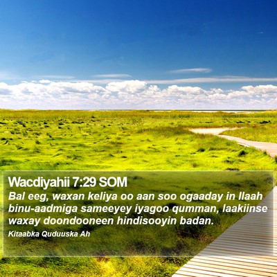 Wacdiyahii 7:29 SOM Bible Verse Image