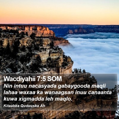 Wacdiyahii 7:5 SOM Bible Verse Image