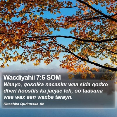 Wacdiyahii 7:6 SOM Bible Verse Image