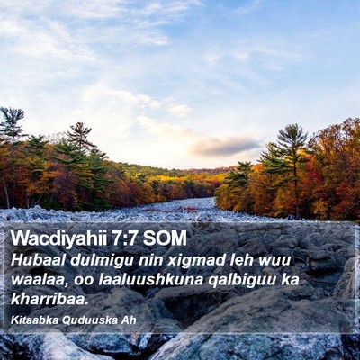 Wacdiyahii 7:7 SOM Bible Verse Image