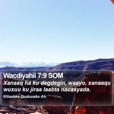 Wacdiyahii 7:9 SOM Bible Verse Image