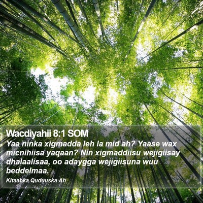 Wacdiyahii 8:1 SOM Bible Verse Image