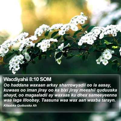 Wacdiyahii 8:10 SOM Bible Verse Image