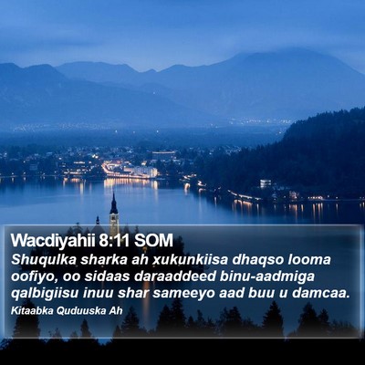 Wacdiyahii 8:11 SOM Bible Verse Image