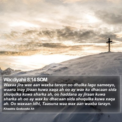 Wacdiyahii 8:14 SOM Bible Verse Image