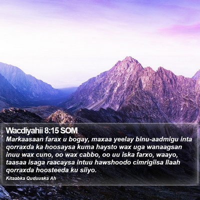 Wacdiyahii 8:15 SOM Bible Verse Image