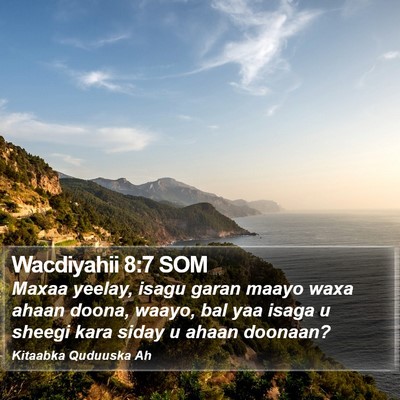 Wacdiyahii 8:7 SOM Bible Verse Image