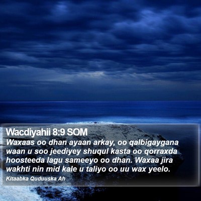 Wacdiyahii 8:9 SOM Bible Verse Image