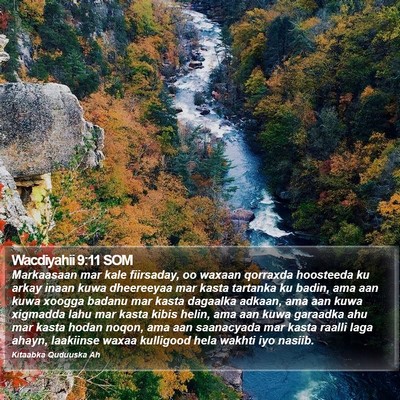 Wacdiyahii 9:11 SOM Bible Verse Image