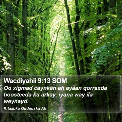 Wacdiyahii 9:13 SOM Bible Verse Image