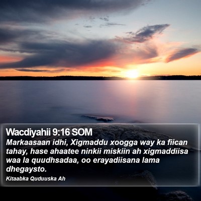 Wacdiyahii 9:16 SOM Bible Verse Image
