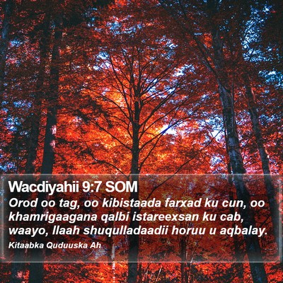 Wacdiyahii 9:7 SOM Bible Verse Image