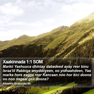 Xaakinnada 1:1 SOM Bible Verse Image