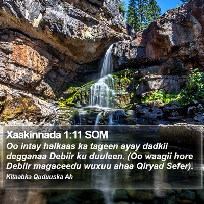 Xaakinnada 1:11 SOM Bible Verse Image