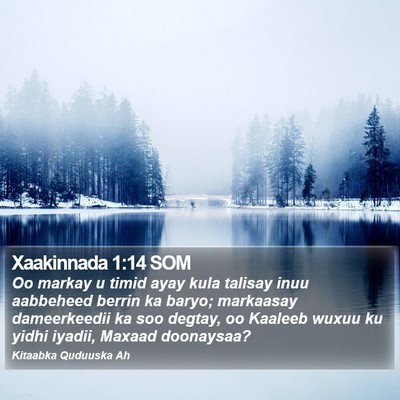 Xaakinnada 1:14 SOM Bible Verse Image