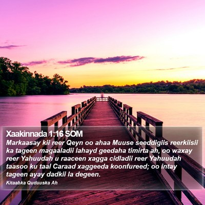 Xaakinnada 1:16 SOM Bible Verse Image
