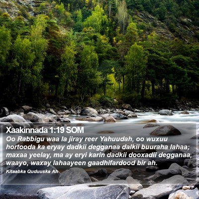 Xaakinnada 1:19 SOM Bible Verse Image