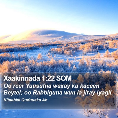 Xaakinnada 1:22 SOM Bible Verse Image