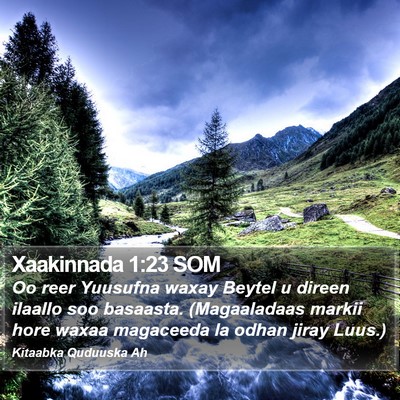 Xaakinnada 1:23 SOM Bible Verse Image