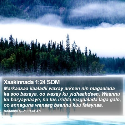 Xaakinnada 1:24 SOM Bible Verse Image
