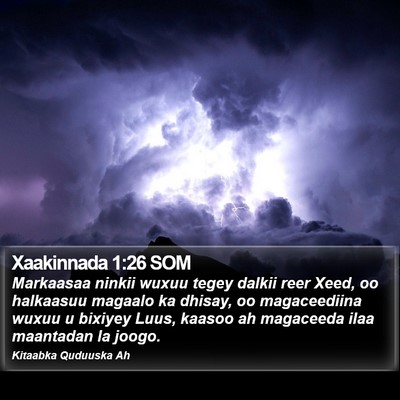 Xaakinnada 1:26 SOM Bible Verse Image