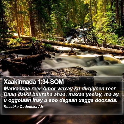 Xaakinnada 1:34 SOM Bible Verse Image