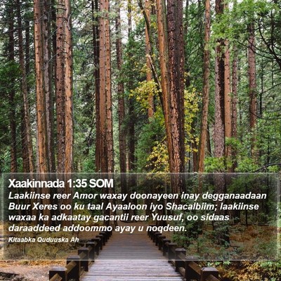 Xaakinnada 1:35 SOM Bible Verse Image
