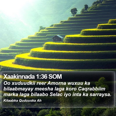 Xaakinnada 1:36 SOM Bible Verse Image