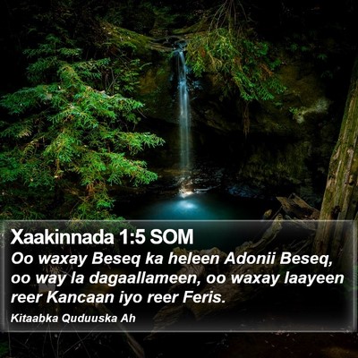 Xaakinnada 1:5 SOM Bible Verse Image