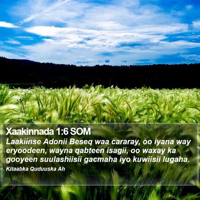 Xaakinnada 1:6 SOM Bible Verse Image