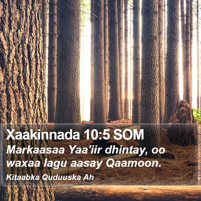 Xaakinnada 10:5 SOM Bible Verse Image