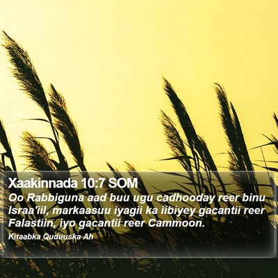 Xaakinnada 10:7 SOM Bible Verse Image